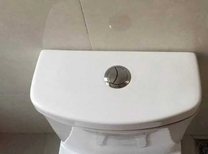 马桶瓷体有裂缝漏水怎么修复好(马桶瓷体有裂缝漏水怎么修复好用) 马桶瓷体有裂缝漏水怎么修复好(马桶瓷体有裂缝漏水怎么修复好用)